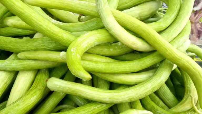 गर्मी में हाइड्रेट रहने का राज: ककड़ी के अनगिनत फायदे!