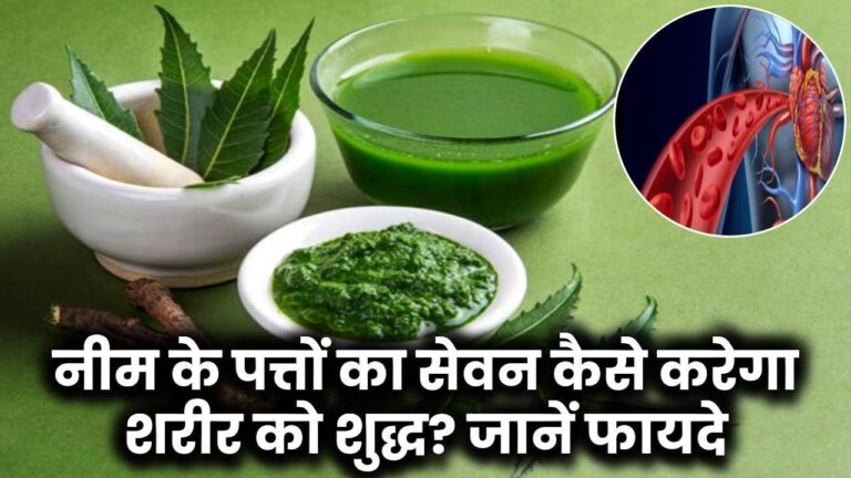 सुबह खाली पेट खाएं नीम की 5 पत्तियां, इन 2 गंभीर बीमारियों से मिलेगा आजीवन छुटकारा!